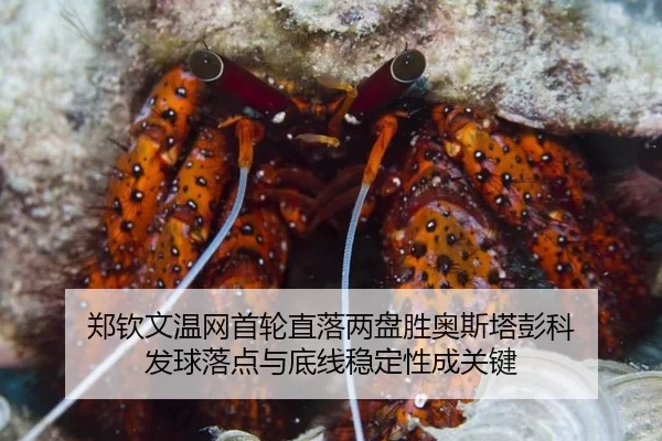 zheng-qin-wen-wen-wang-shou-lun-zhi-luo-liang-pan-sheng-ao-si-ta-peng-ke-fa-qiu-luo-dian-yu-di-xian-wen-ding-xing-cheng-2-842.jpg